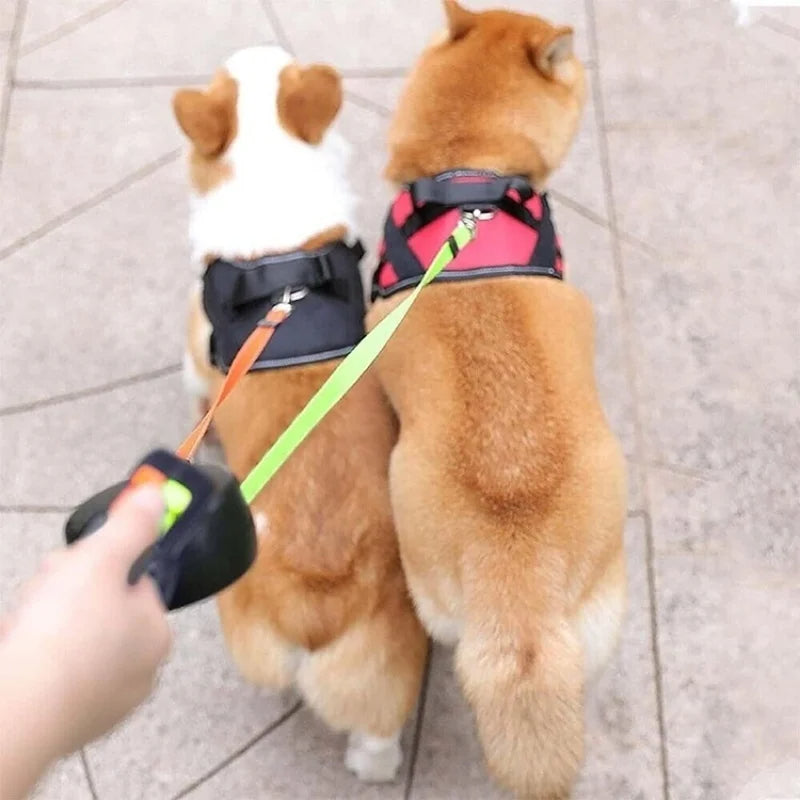 Automatic Retractable Dual Leash