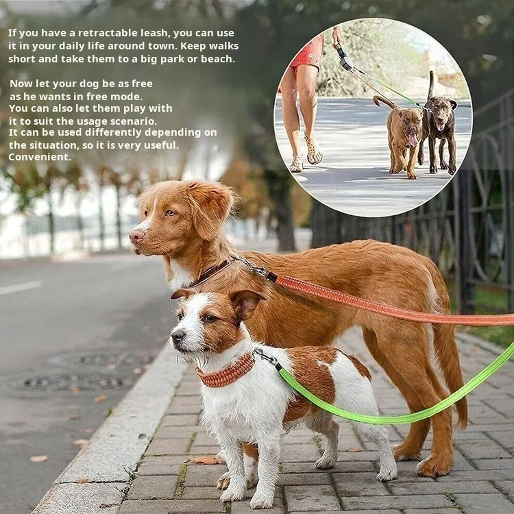 Automatic Retractable Dual Leash