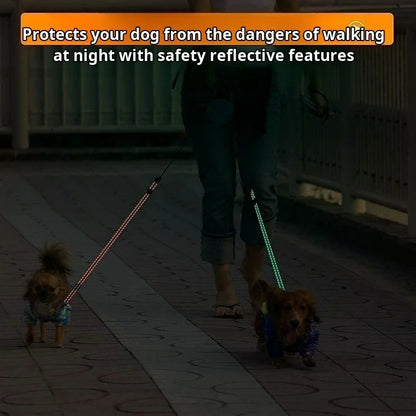 Automatic Retractable Dual Leash